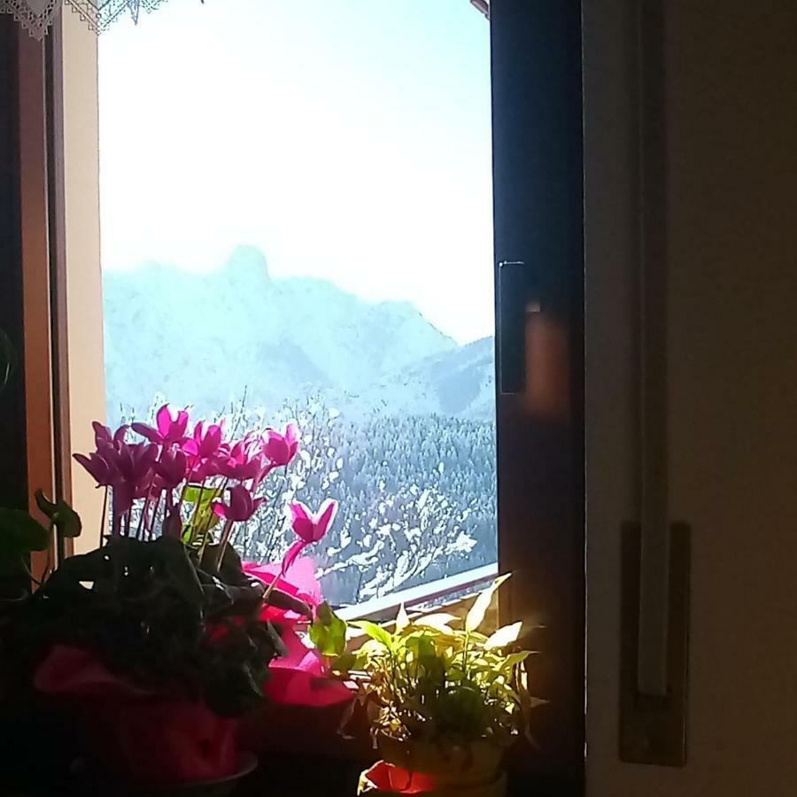 Da Nicola E Laura Lejlighed Santo Stefano Di Cadore Eksteriør billede